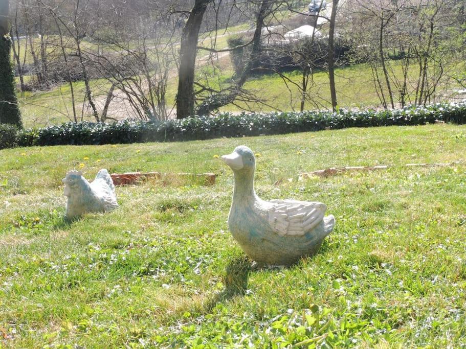 Villa Au Coeur De La Dombes Saint-Paul-de-Varax Esterno foto