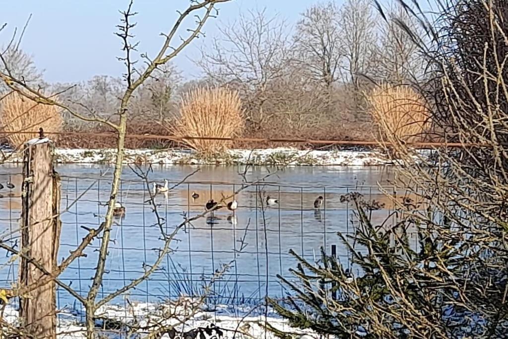 Villa Au Coeur De La Dombes Saint-Paul-de-Varax Esterno foto